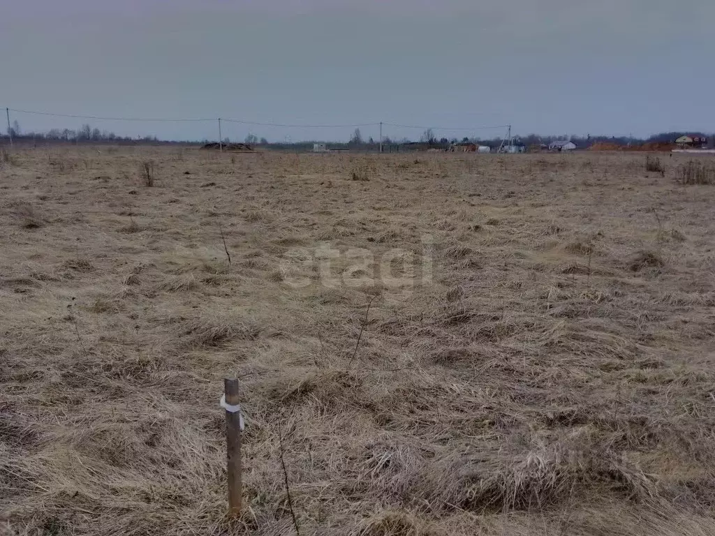Участок в Псковская область, Псковский район, Завеличенская волость, ... - Фото 1