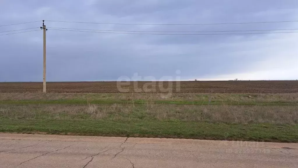 Участок в Крым, Сакский район, Молочненское с/пос, с. Витино  (3.16 ... - Фото 1