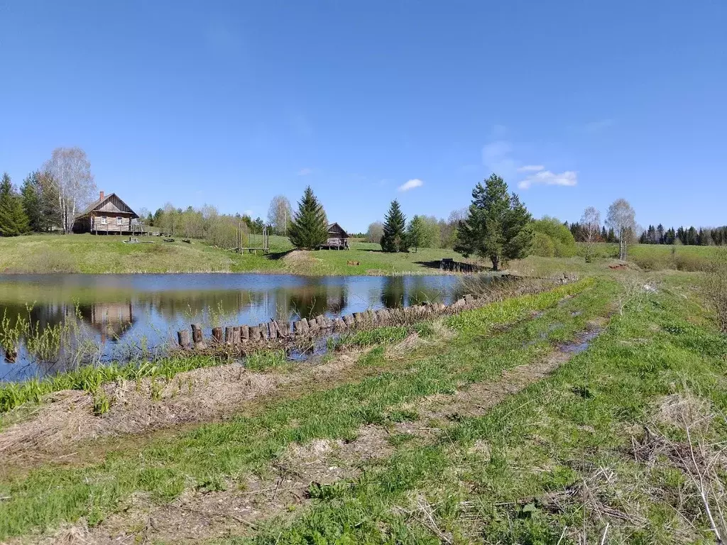 Дом в Пермский край, Ильинский муниципальный округ  (40 м) - Фото 2