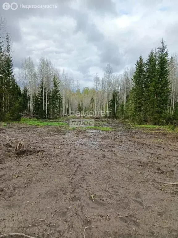 Участок в Томск, посёлок Родионово, улица Комиссаржевской, 8 (13.6 м) - Фото 1