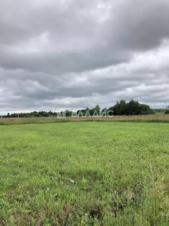 Участок в Владимирская область, Собинский муниципальный округ, с. ... - Фото 1