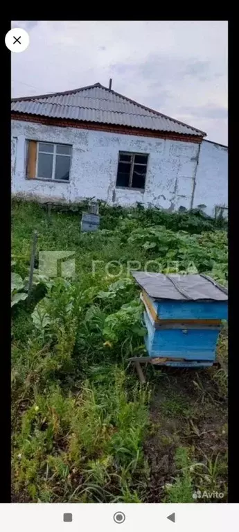 1-к кв. Новосибирская область, Черепановский район, с. Татарка ... - Фото 2