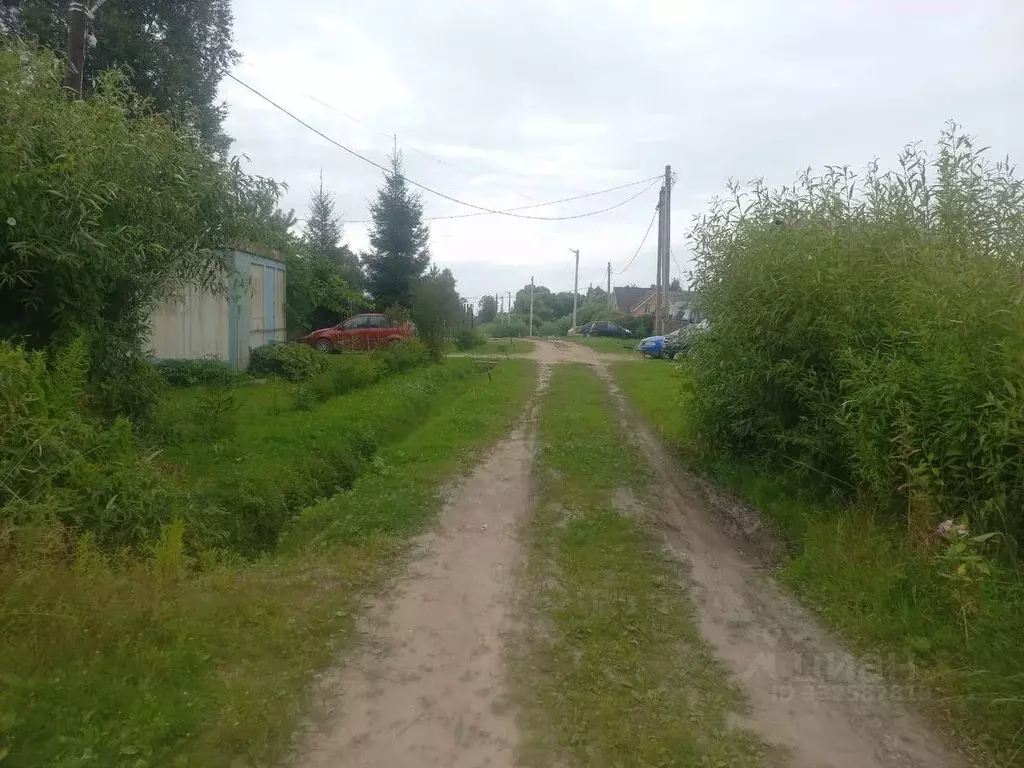 Участок в Новгородская область, Старая Русса ул. Маяковского (8.0 ... - Фото 1