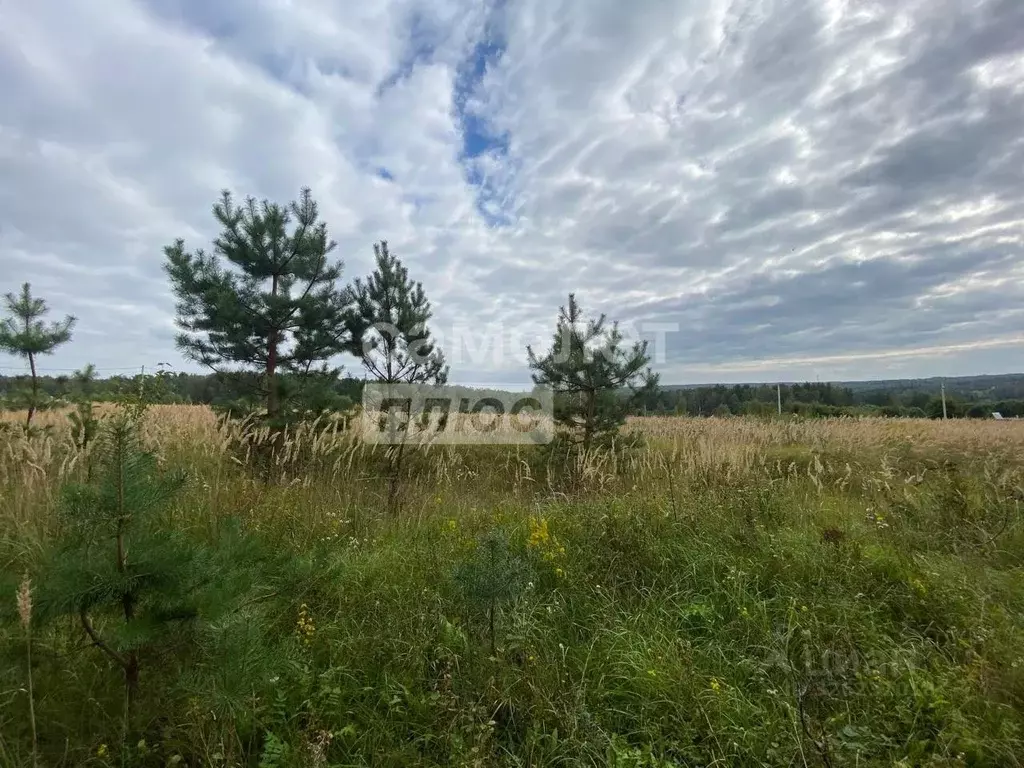 Участок в Тульская область, Заокский район, Страховское с/пос, с. ... - Фото 2