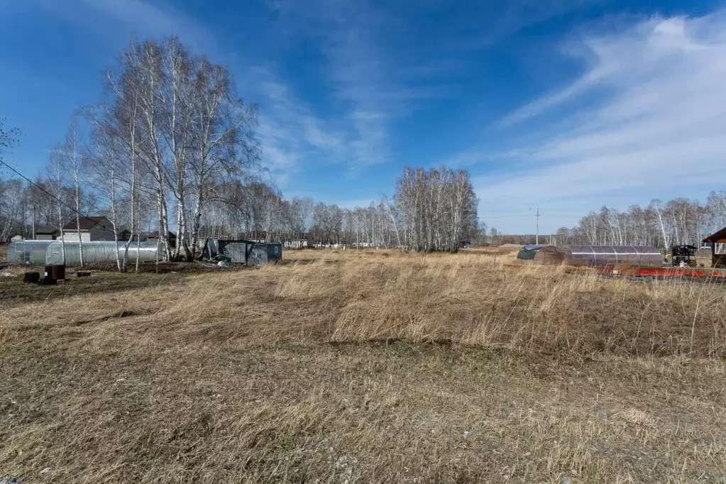 Участок в Новосибирская область, Новосибирский район, Сибирские ... - Фото 1