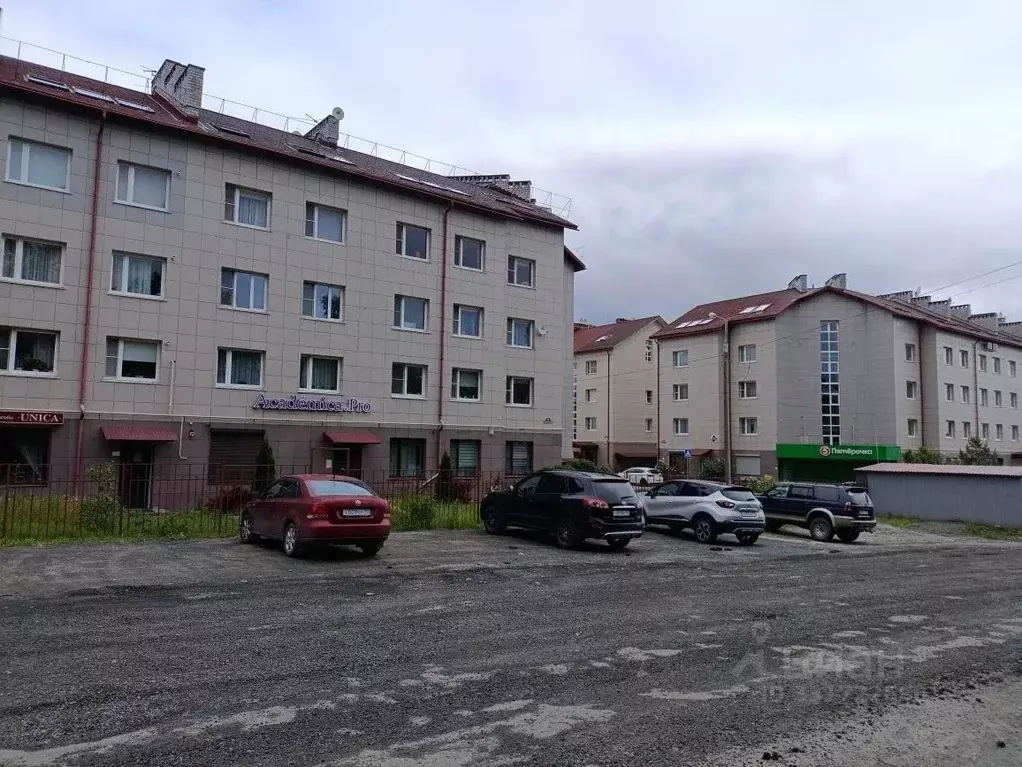 Студия Карелия, Петрозаводск Сегежская ул., 8 (23.8 м) - Фото 2