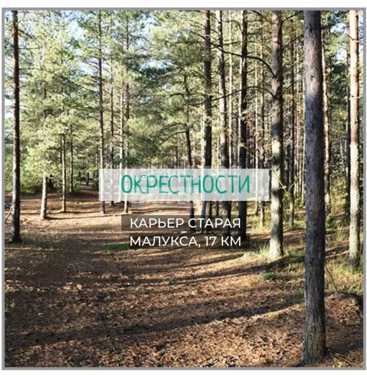 Участок в Ленинградская область, Кировский район, Мгинское городское ... - Фото 1