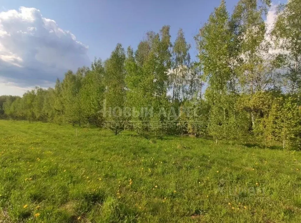 Участок в Калужская область, Калуга городской округ, д. Лихун ул. ... - Фото 0