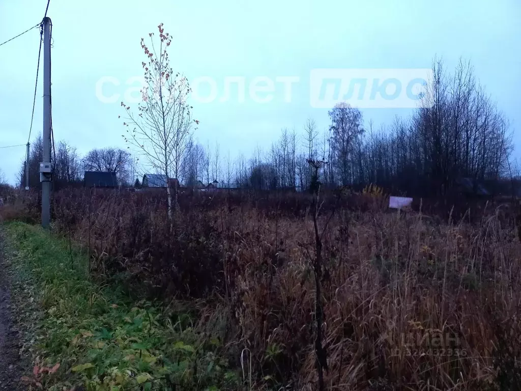Участок в Вологодская область, Шекснинский муниципальный округ, Заря-3 ... - Фото 1