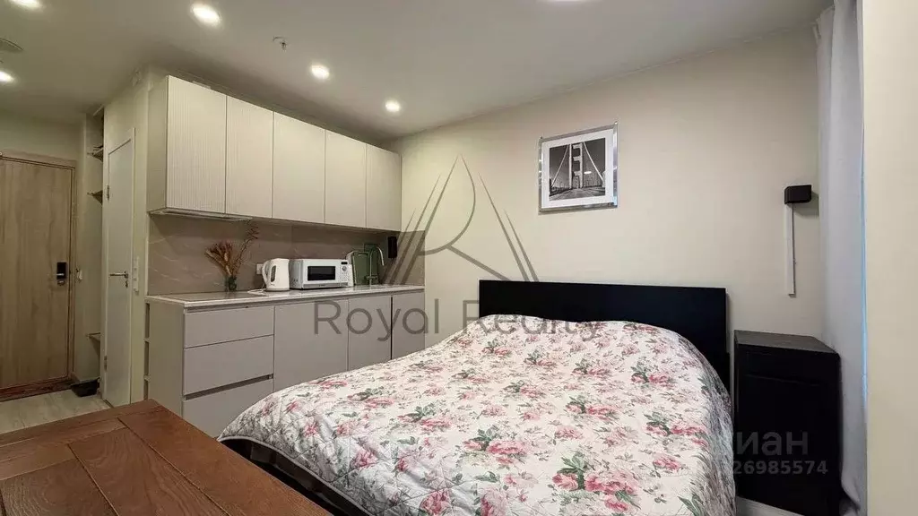 Студия Санкт-Петербург ул. Матроса Железняка, 2 (20.0 м) - Фото 1