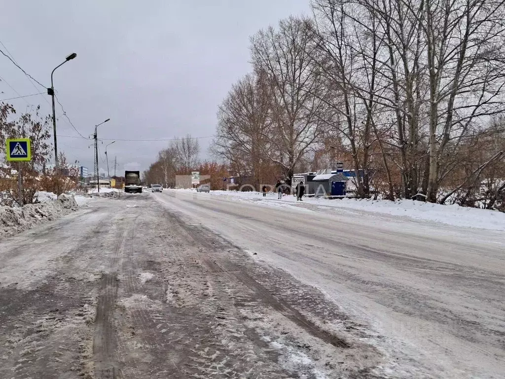 Участок в Новосибирская область, Новосибирск Сад НЭТИ садовое ... - Фото 2