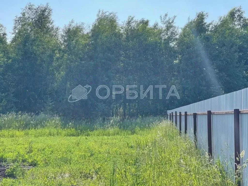 Участок в Тюменская область, Тюменский муниципальный округ, д. ... - Фото 2