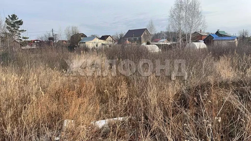 Участок в Ленинградская область, Лужский район, Толмачевское городское ... - Фото 0