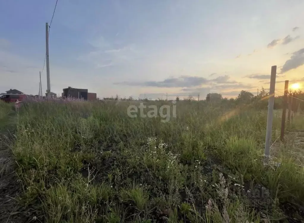 Участок в Мордовия, Саранск городской округ, Николаевка рп  (14.89 ... - Фото 0