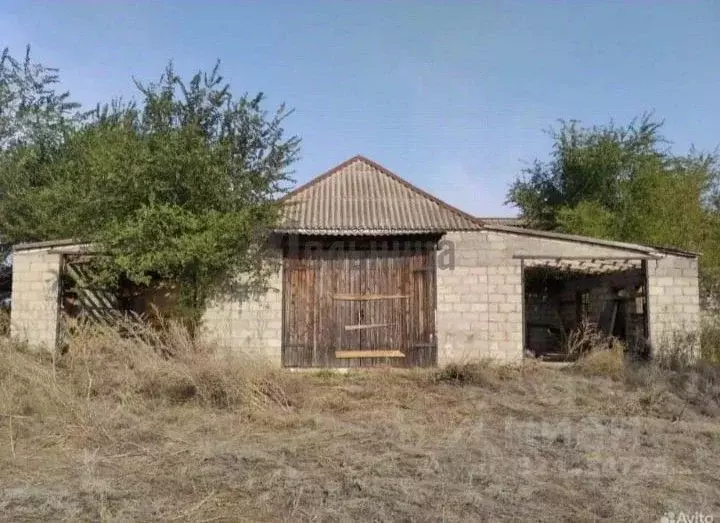 Участок в Волгоградская область, Суровикино  (58.53 сот.) - Фото 1