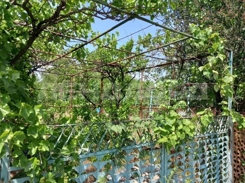 Дом в Ростовская область, Аксайский район, Рассветовское с/пос, ... - Фото 2