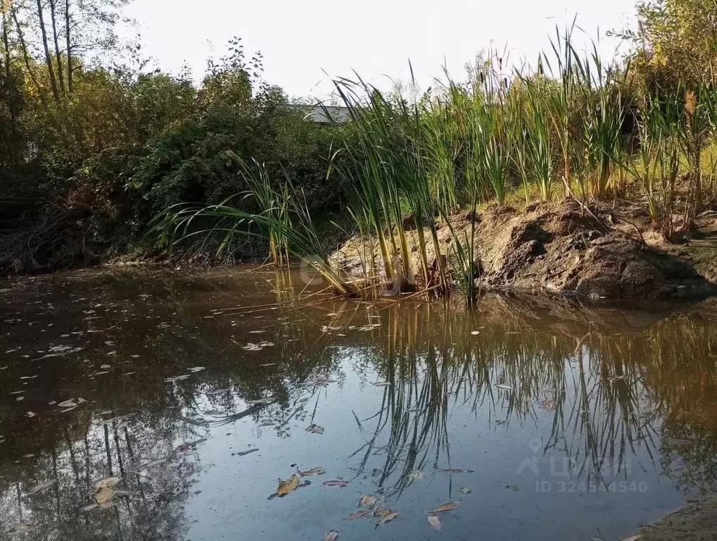 Дом в Калужская область, Перемышльский муниципальный округ, Большие ... - Фото 2