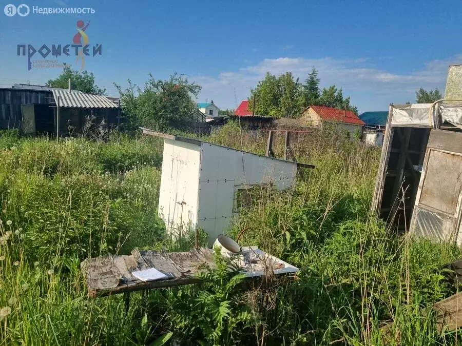 Участок в Новосибирск, садовое товарищество Буревестник (6 м) - Фото 0