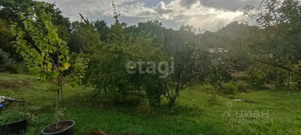 Участок в Краснодарский край, Новороссийск Голубая Даль СНТ,  (5.0 ... - Фото 1