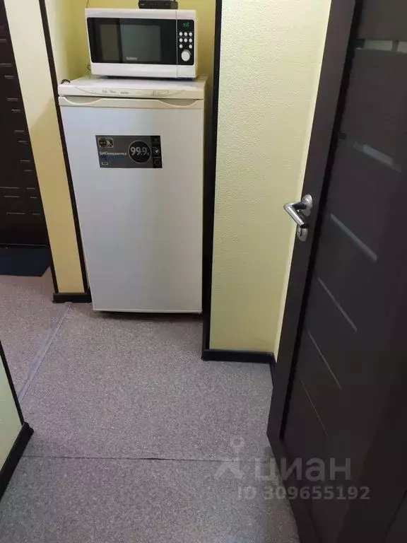 1-к кв. Татарстан, Казань ул. Юлиуса Фучика, 121 (28.0 м) - Фото 1