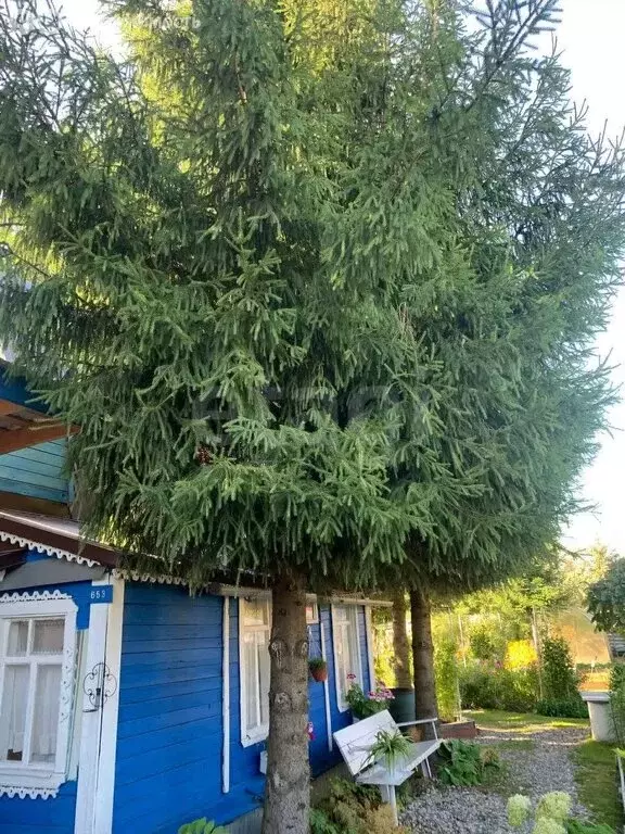 Дом в Ярославский муниципальный округ, садоводческое некоммерческое ... - Фото 0