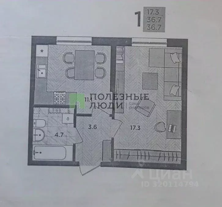 1-к кв. Краснодарский край, Новороссийск Цемдолина тер., ул. Ф.Я. ... - Фото 1