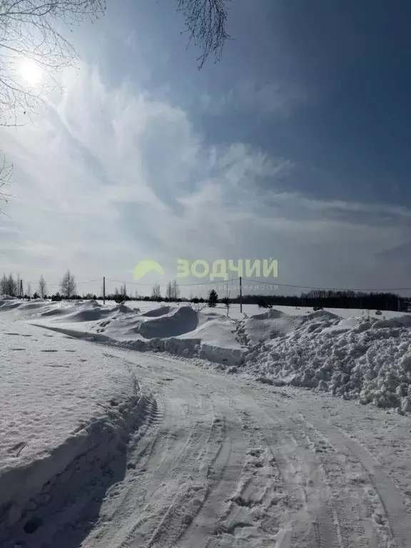 Участок в Чувашия, Чебоксарский муниципальный округ, Синьяльское с/пос ... - Фото 2