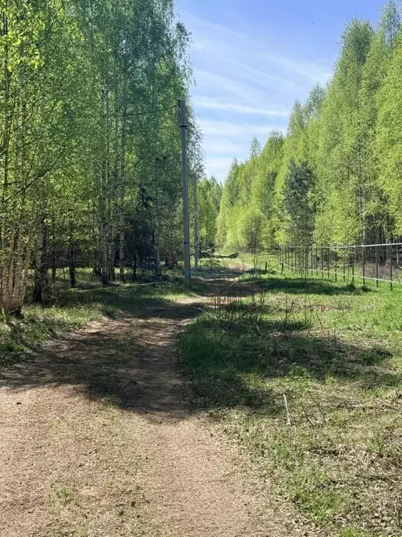 Участок в Нижегородская область, Сокольский муниципальный округ, с. ... - Фото 1