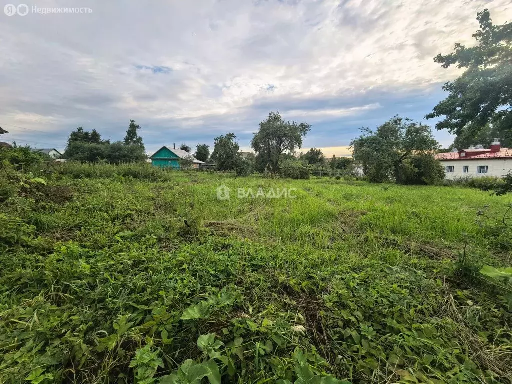Участок в посёлок городского типа Думиничи, переулок Пушкина, 7 (19.48 ... - Фото 2