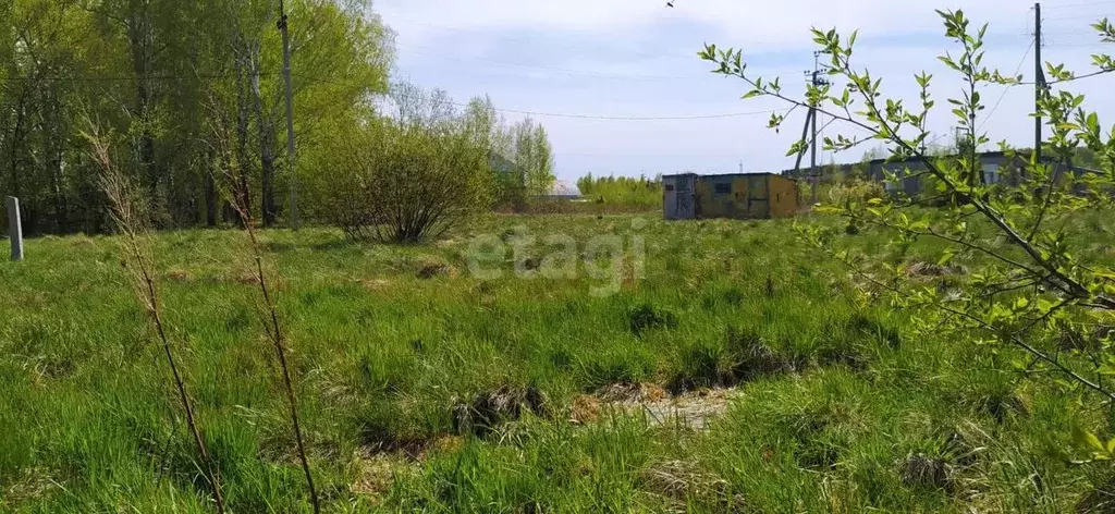 Участок в Свердловская область, Горноуральский городской округ, с. Лая ... - Фото 0