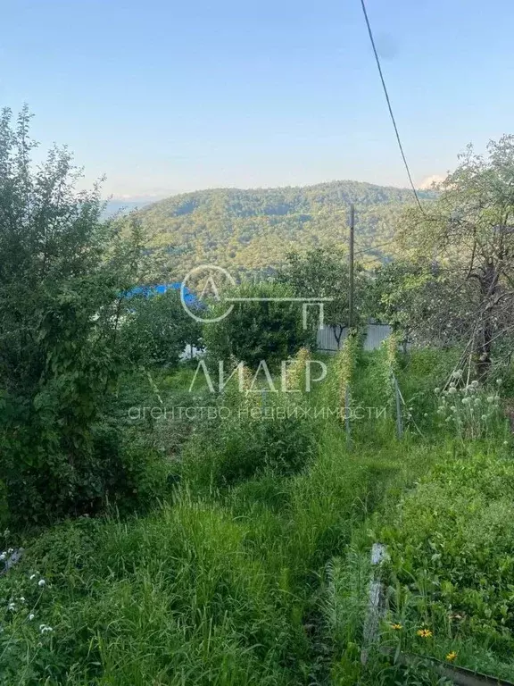 Участок в Крым, Бахчисарайский район, с. Каштаны  (5.0 сот.) - Фото 1