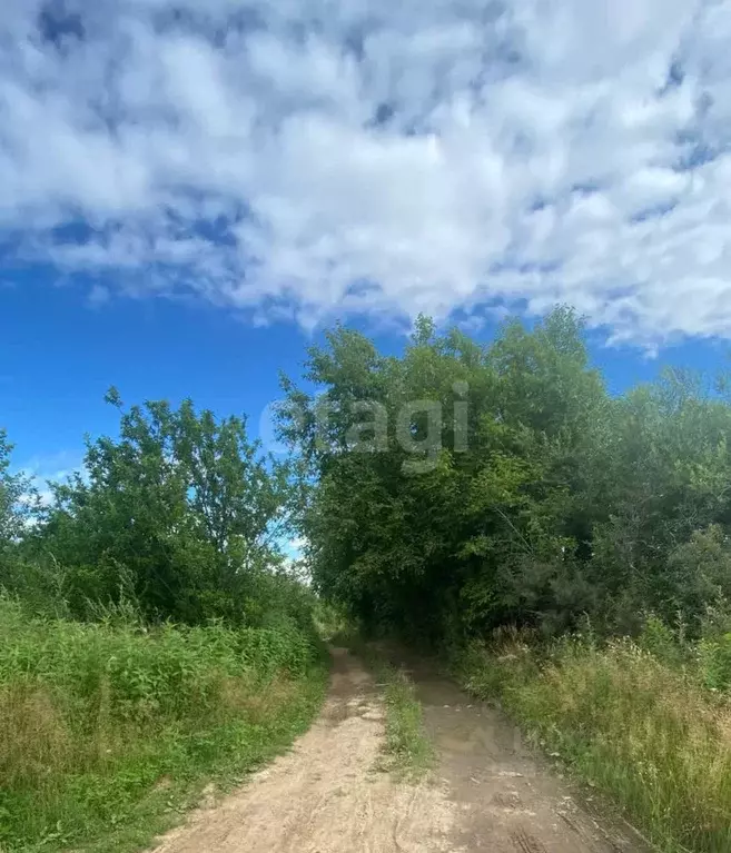 Участок в Хабаровский край, Хабаровский район, с. Краснореченское  ... - Фото 2