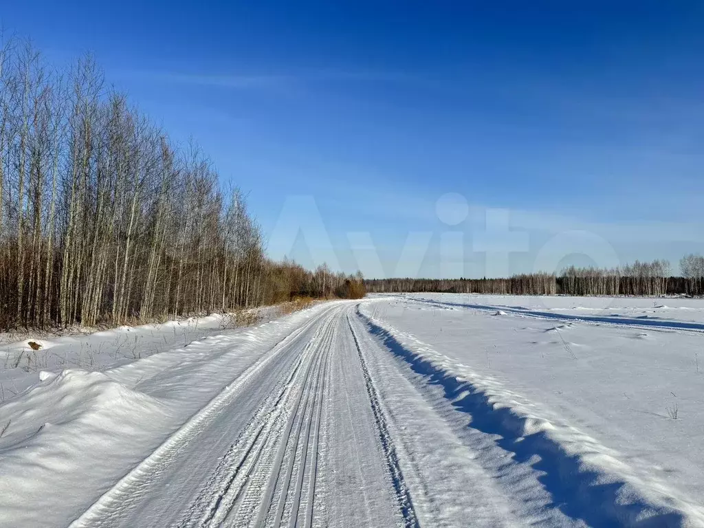 Участок 10 сот. (ИЖС) - Фото 0