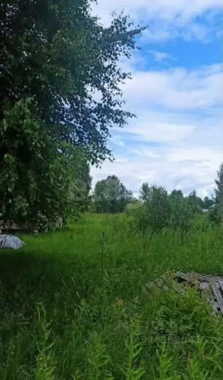 Участок в Вологодская область, Череповецкий район, д. Ирдоматка 64 ... - Фото 1