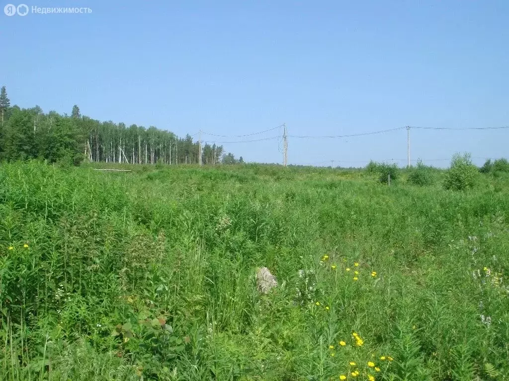 Участок в Свердловская область, муниципальный округ Ревда, село ... - Фото 1