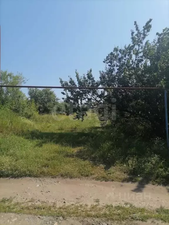 Участок в Саратовская область, с. Александровка ул. Строителей, 23 ... - Фото 1