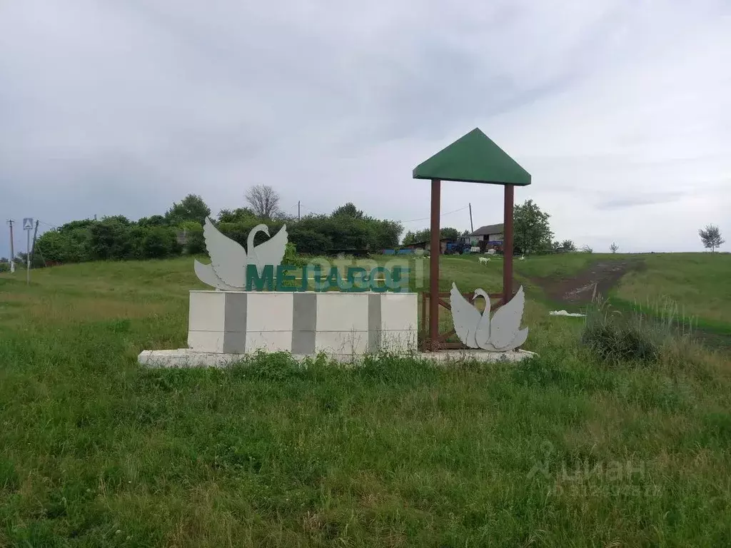 Дом в Белгородская область, Губкинский городской округ, с. Мелавое ул. ... - Фото 1