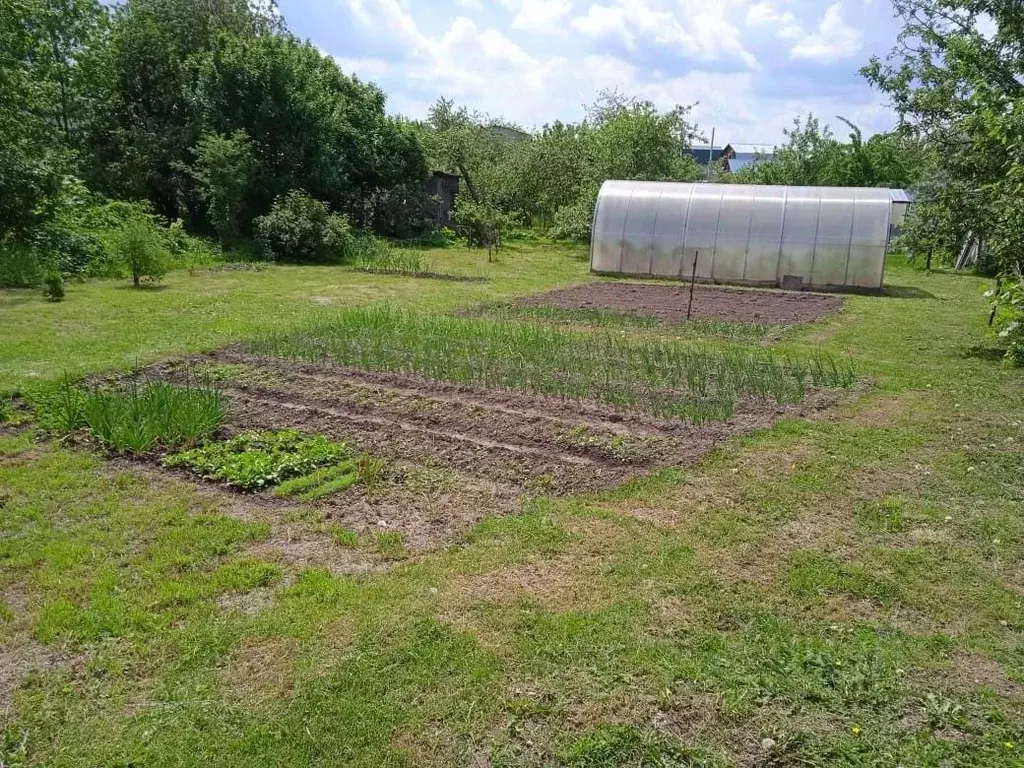 Дом в Нижегородская область, Кстово Лесное СНТ,  (30 м) - Фото 0