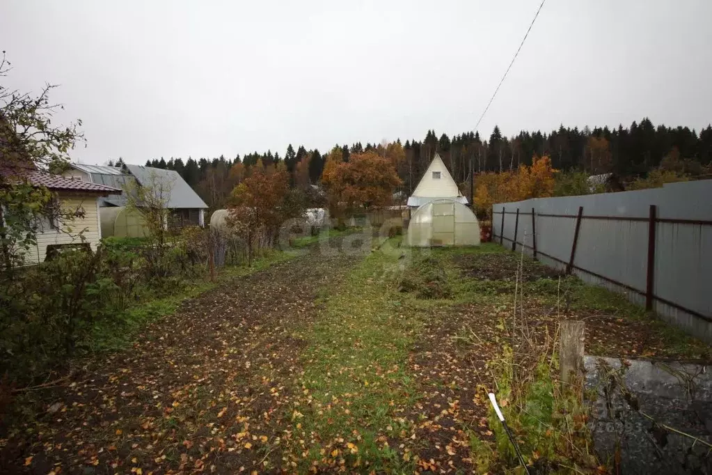 Дом в Вологодская область, Шекснинский муниципальный округ, Балтика ... - Фото 1