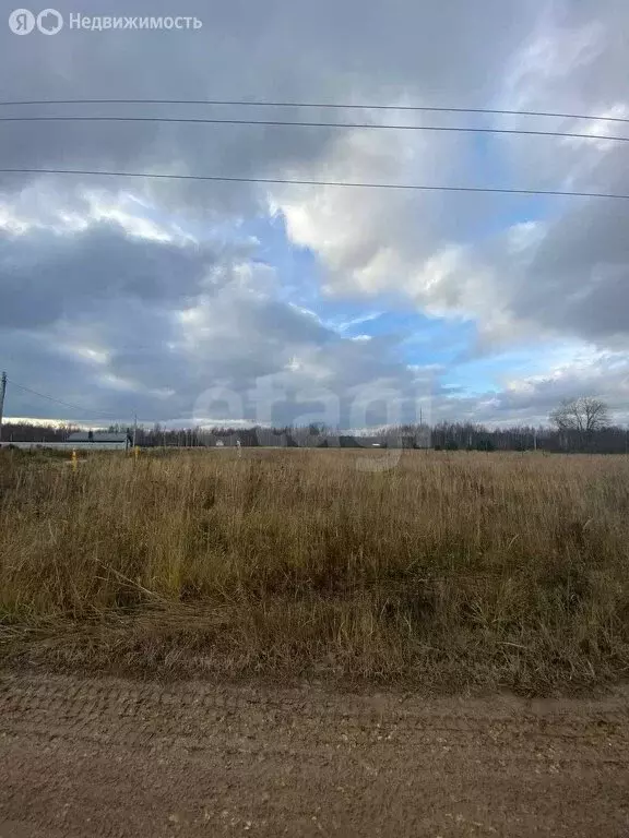 Участок в Ковровский район, муниципальное образование Малыгинское, ... - Фото 2