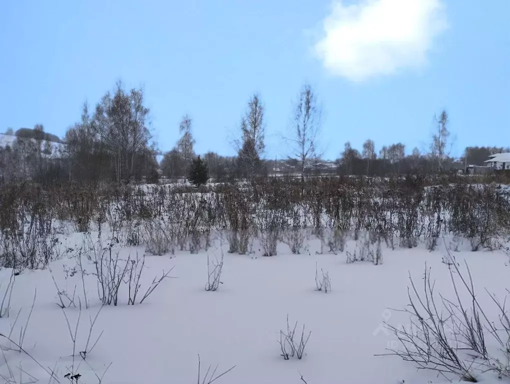 Участок в Нижегородская область, Нижний Новгород с. Большая Ельня, ул. ... - Фото 1