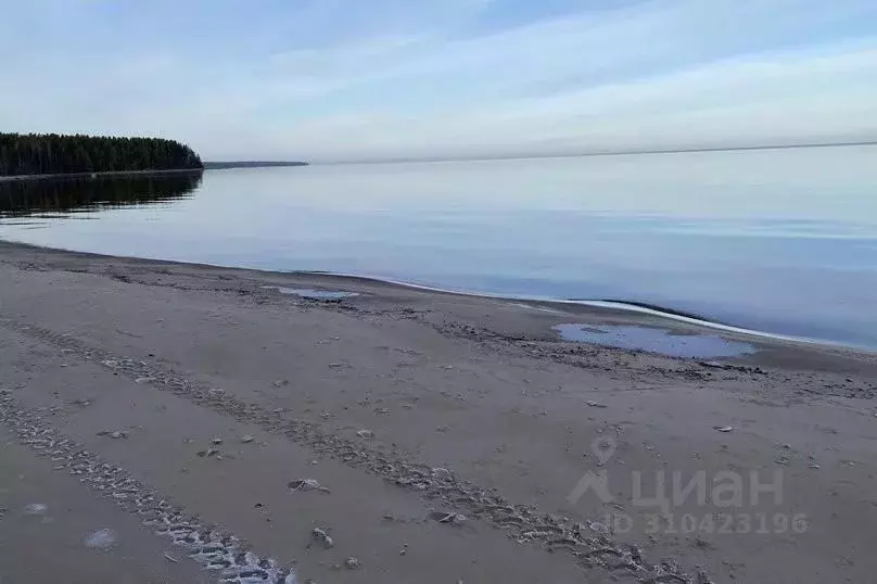 Дом в Ленинградская область, Приозерский район, Ларионовское с/пос, ... - Фото 1