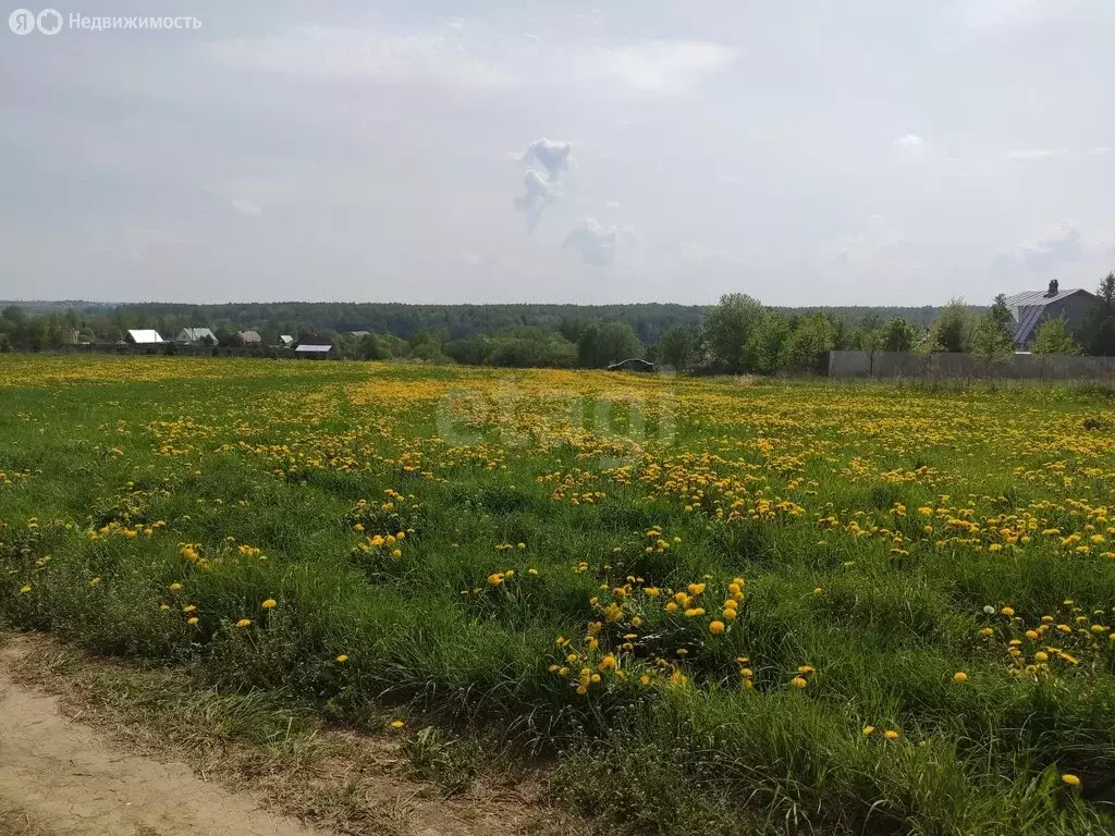 Участок в Вологодский муниципальный округ, деревня Пестово (10.4 м) - Фото 1