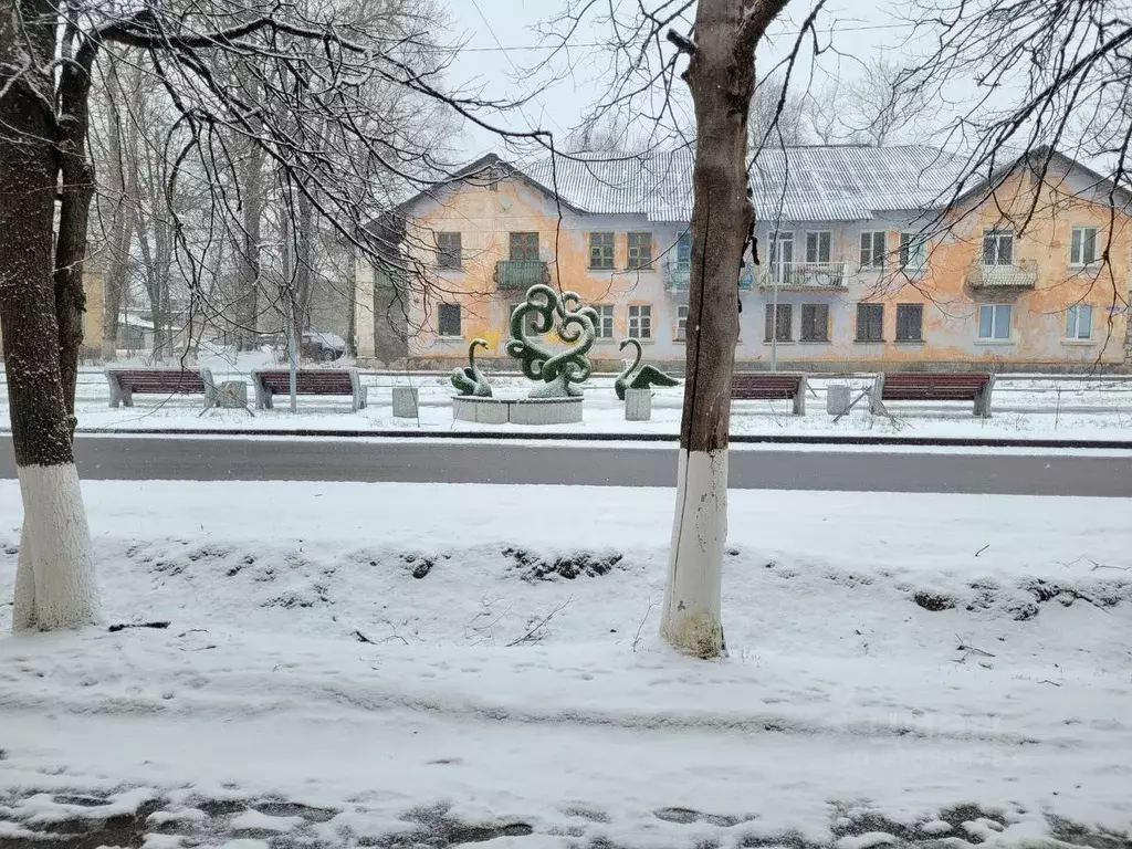 3-к кв. Ленинградская область, Сланцы пос. Большие Лучки,  (66.1 м) - Фото 0