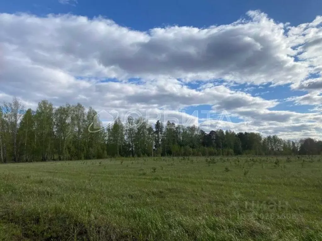 Участок в Тюменская область, Тюмень Мыс мкр, ул. Ушакова (7.0 сот.) - Фото 1