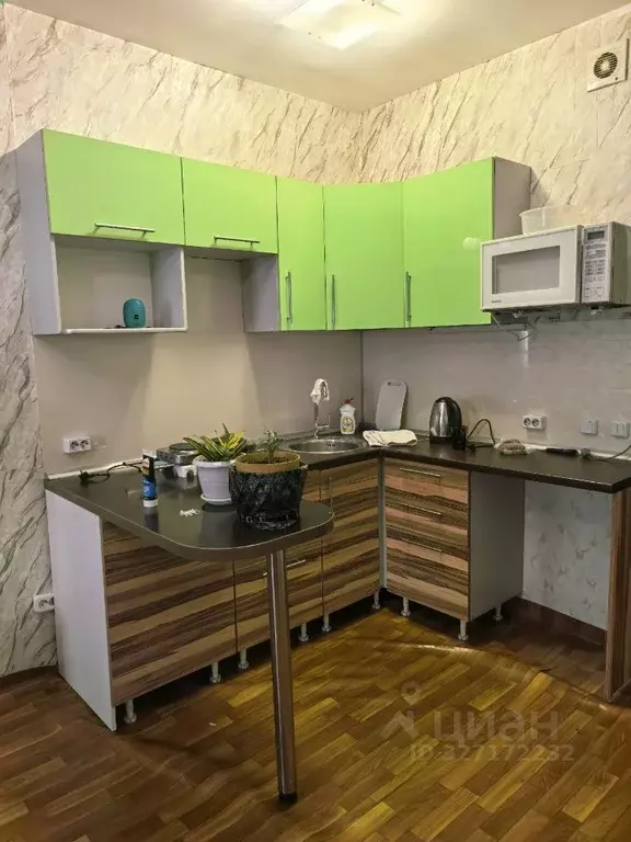 Студия Красноярский край, Красноярск ул. Карамзина, 14 (27.0 м) - Фото 1