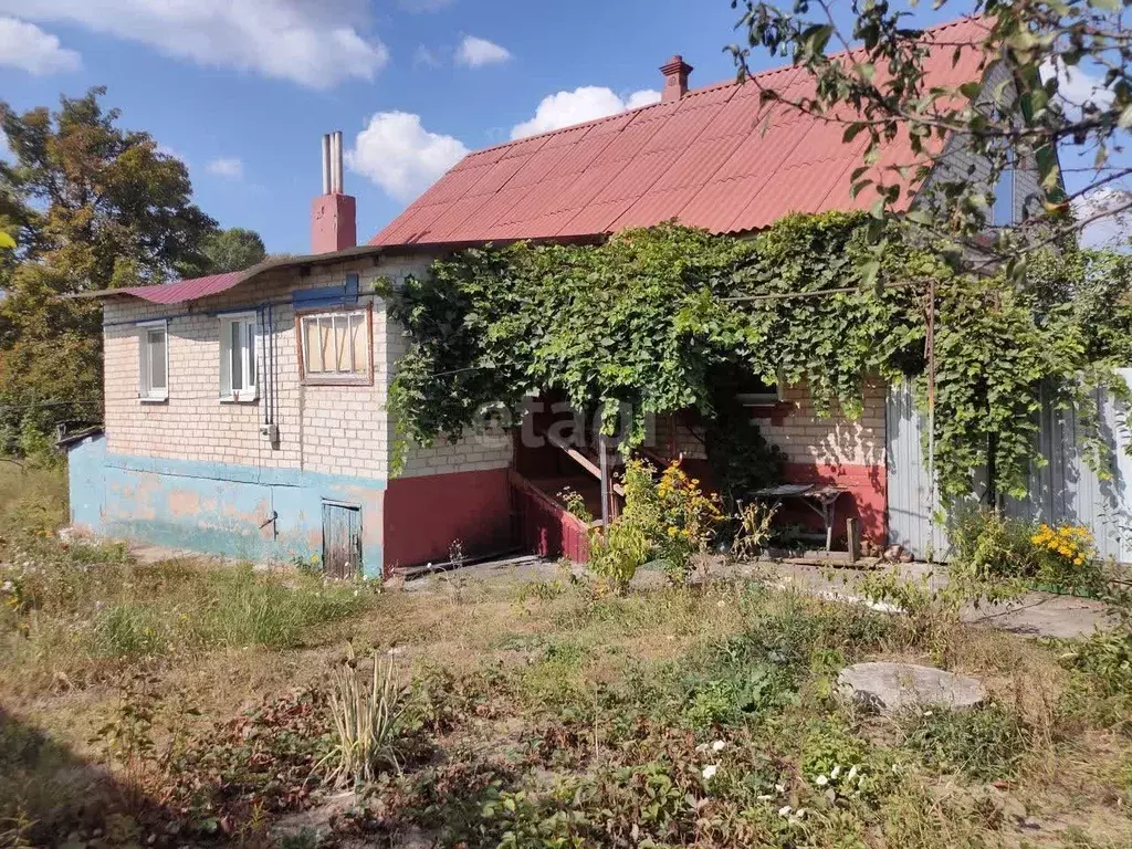 Дом в Белгородская область, Шебекинский городской округ, Ржавец хут. ... - Фото 0