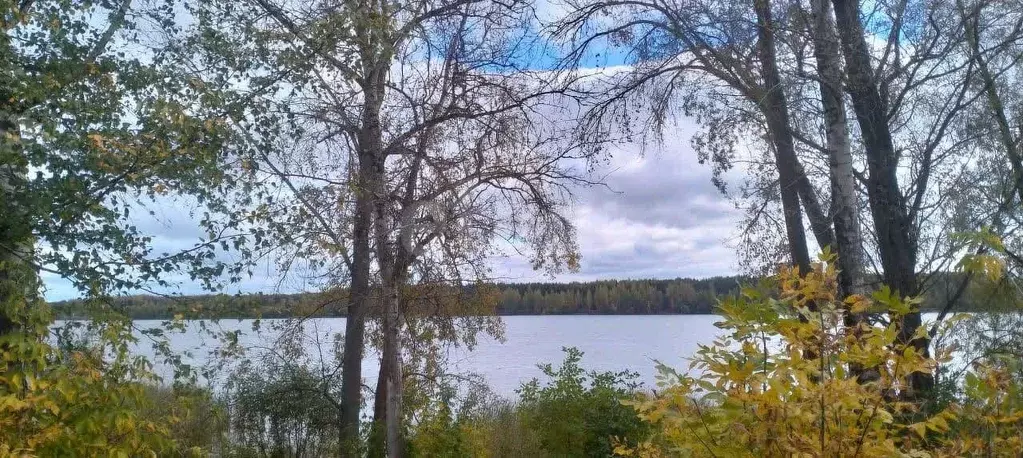 1-к кв. Ярославская область, Некрасовский муниципальный округ, Красный ... - Фото 1