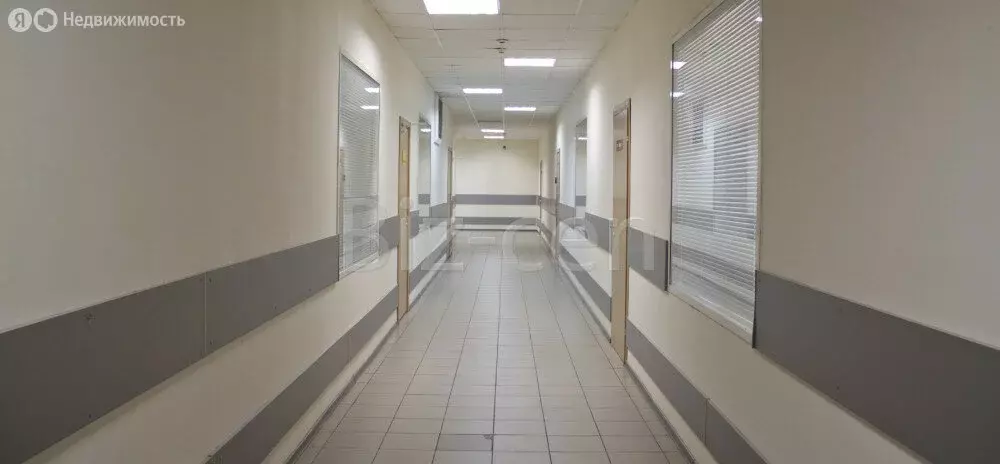 Офис (306.3 м) - Фото 2