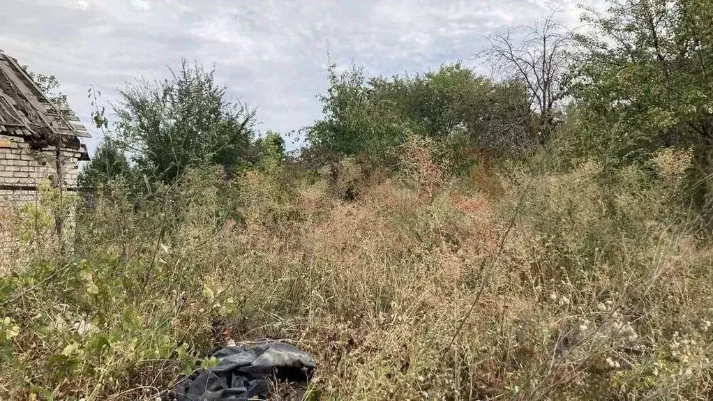 Участок в Волгоградская область, Волгоград Нефтяник-2 СНТ,  (7.0 сот.) - Фото 2